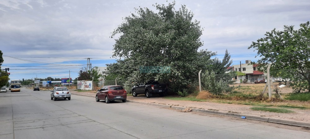 LOTES COLLON CURA casi esquina SAN MARTIN 