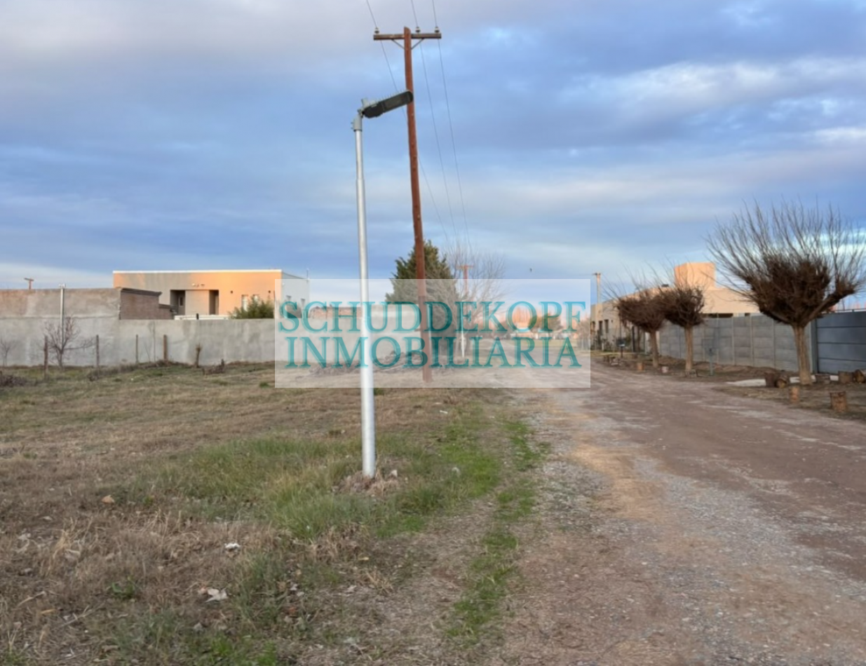 Venta Terreno LOS CASTAÑOS PLOTTIER 